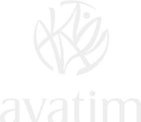 Avatim Franquia Recife